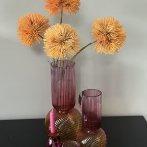 complete set orange