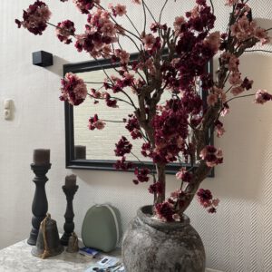 Bloesemtakken in elk gewenste kleur en hoogte